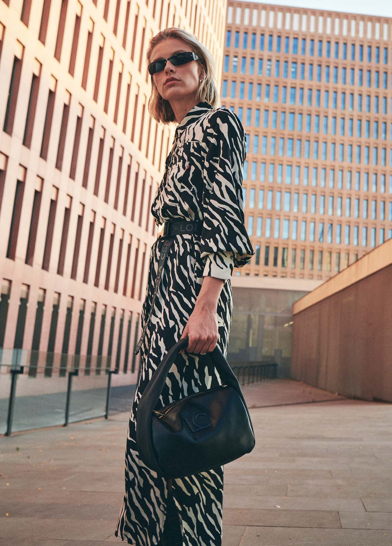 Plus Size Zebra Print Dress – Style Your Curves