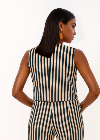 Striped Rustic Twill Vest
