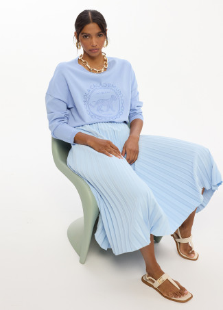 Asymmetric Pleated Skirt