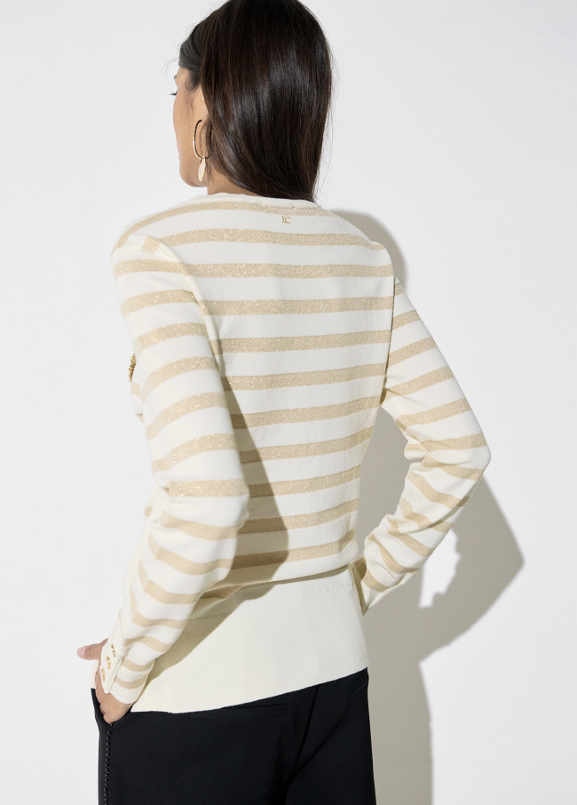 Maglione a Righe Lurex con Spilla
